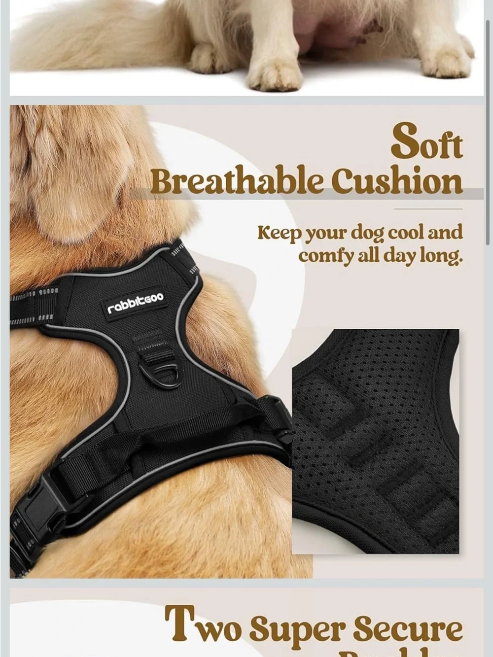 rabbitgoo Dog Harness No Pull with 2 Leash Clips, Adjustable Soft Padded Medium